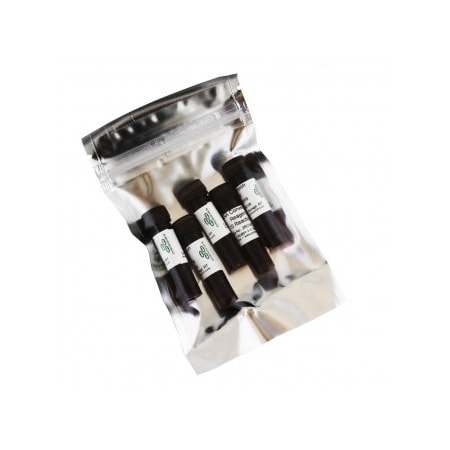 Zymo Research RNA Conversion Reagent, 1.5 ml, 1 Tube ZR5001-1-1